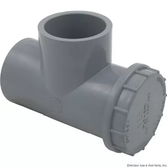 010651 Spring Check Valve Pentair Ortega 1lb 1-1/2″