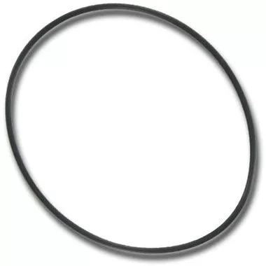 01510-329, D1 Spas Light Body O-Ring, (2Pkg.)