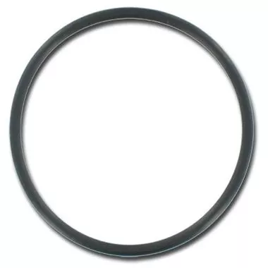 01510-371 D1 Spas 2″ Union O-Ring (Magic)4pack