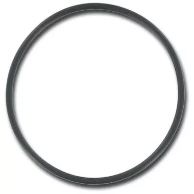 01522-57 D1 Spas Large O-Ring – ’98+ Selector Valve (’98 and Current Model Spas) 4 pack