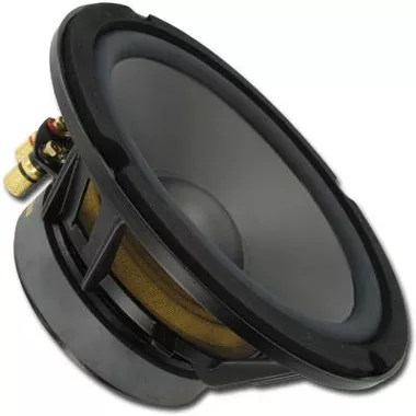 01564-06 D1 Spas SIS 8″ Subwoofer (no box)