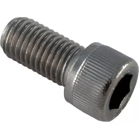 Adjustment Screw, Pentair Letro Legend Cleaners, SS- 370198