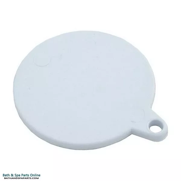 American/Pentair/FAS Skimmer Equalizer (85009600)