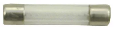Auto Pilot 6 Amp Slo Blo Fuse | 15626