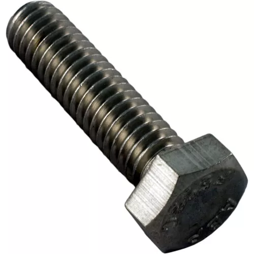 Bolt Pentair Starite 5/16-18 X 1-1/4" U30-64SS