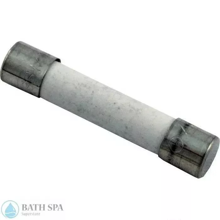 Buss Fuse 15A Slo Blo Fuse [MDA] (MDA-15)