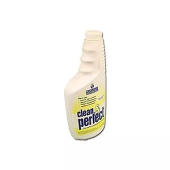 Cleaning Product Natural Chem Clean & Perfect 22Oz B 176