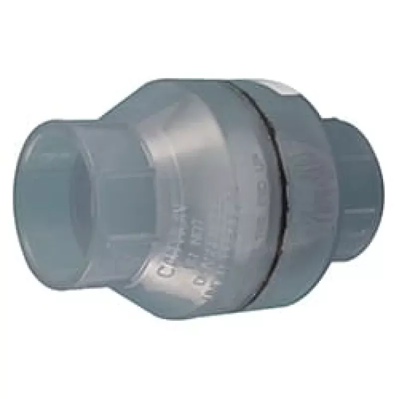 Cmp 2In S X S Swing Check Valve; Clear | 25062-209-000