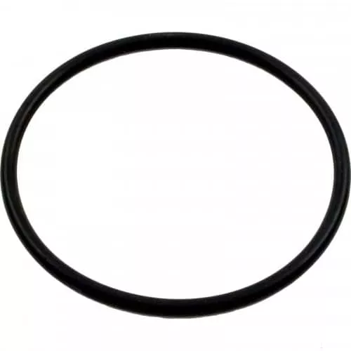 Cmp Salt Cell O-Ring For Powerclean | 52000-200-101