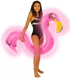 Flamingo LED Ride-On Noodle