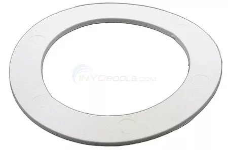 Gasket (jv29)