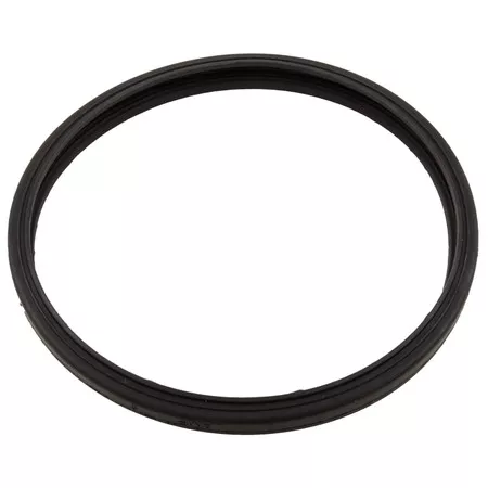 Gasket, Sta-Rite Sunbrite/Sunglow, Light Lens- 05501-0005Z
