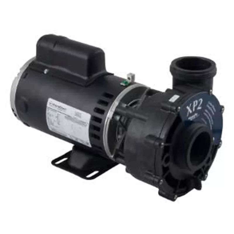 Gecko Alliance 06115517-2040 Flo-Master XP2 Pump
