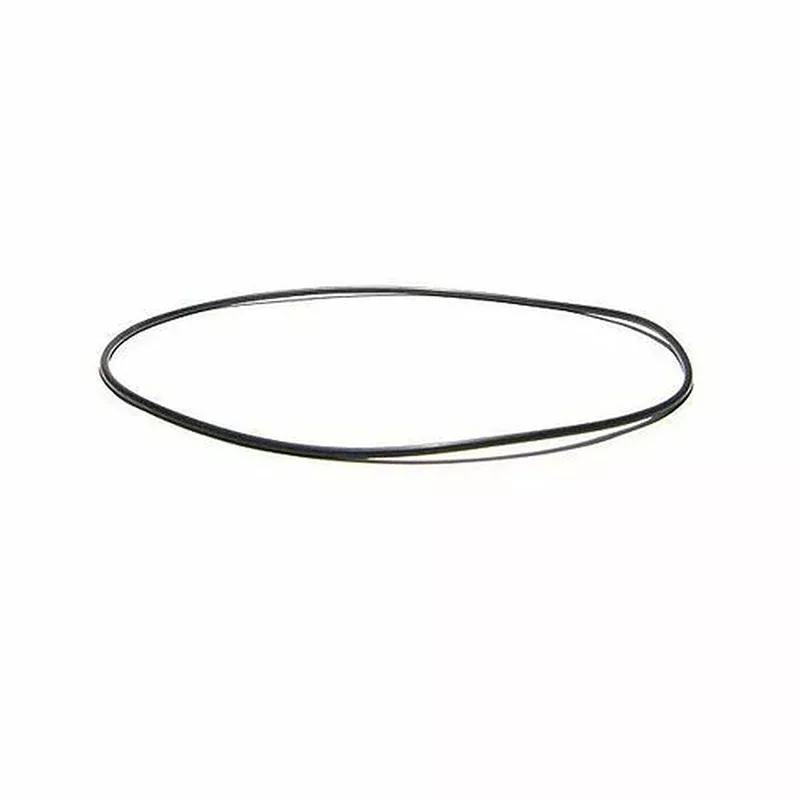 Gecko Alliance 92200310 Volute O-Ring