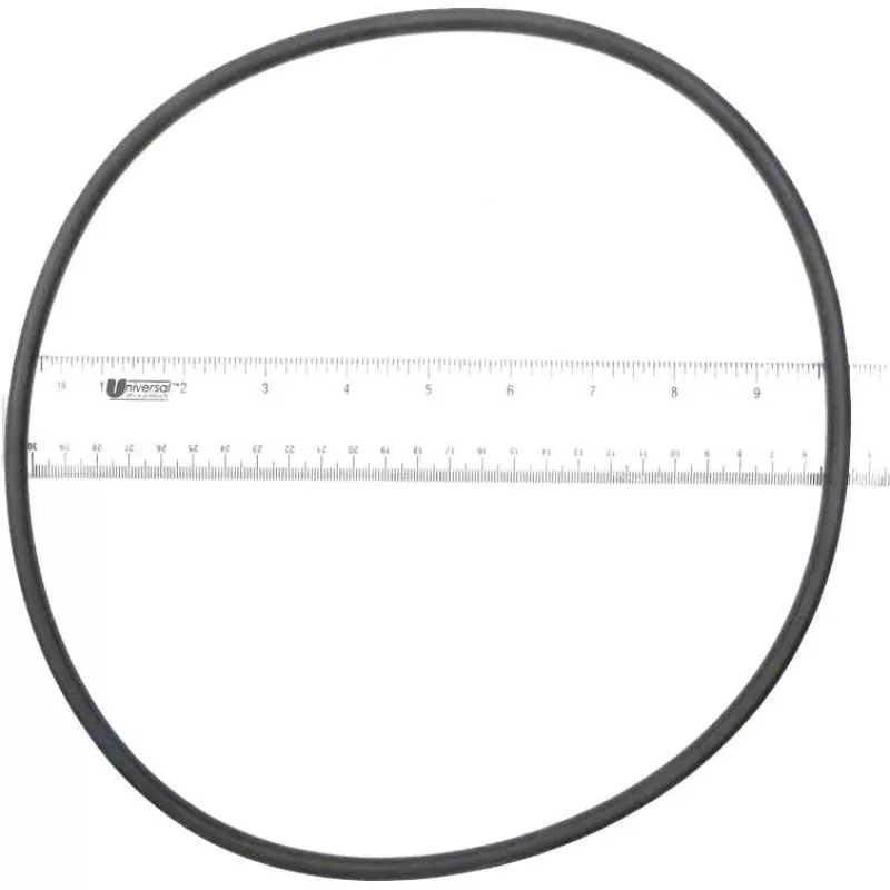 Generic Seal Plate O-Ring for Max-E-Glas/Dura-Glas II Pumps