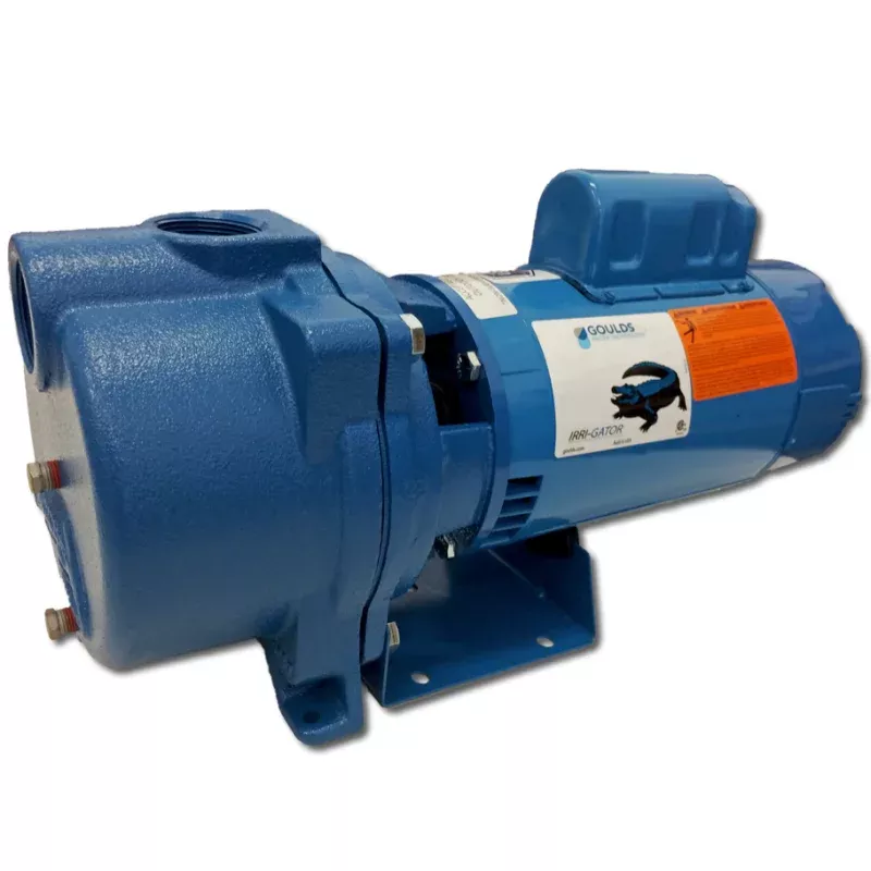 Goulds Pump GT303 Centrifugal Irrigation Pump – 208/230/460V – 3HP – 3-phase