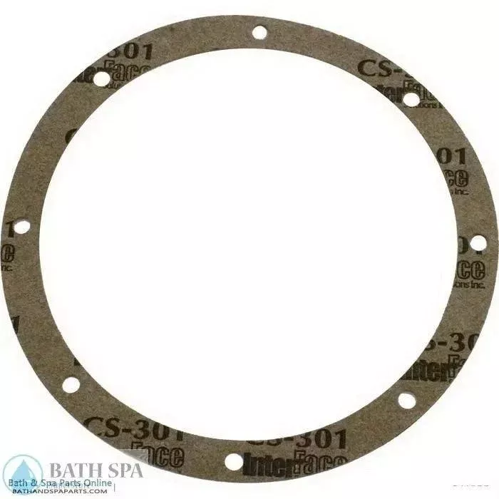 Hayward 7-1/4″ Diameter Round Gasket [2 Pack] (SPX1048DPAK2)