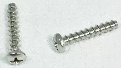 Hayward Cover Screw, Set Of 2, Self Tapping | WGX1030Z1A