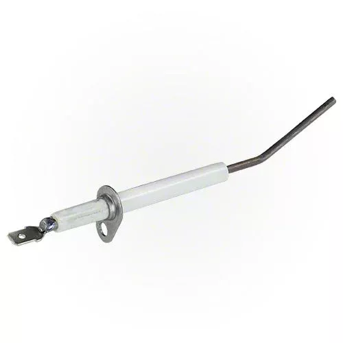 Hayward Flame Sensor IDXLFLS1930