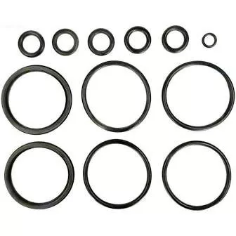 Hayward Header O-Ring Kit | FDXLFOR1930