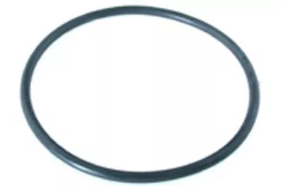 Hayward Oring,Cover - Viton | SPX3000SV