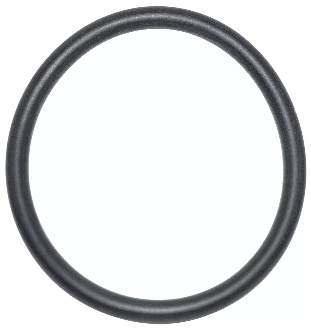 Hayward SPX4000Z1 – Pump Diffuser O-Ring