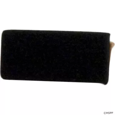 Hayward WEIR ASSY KIT