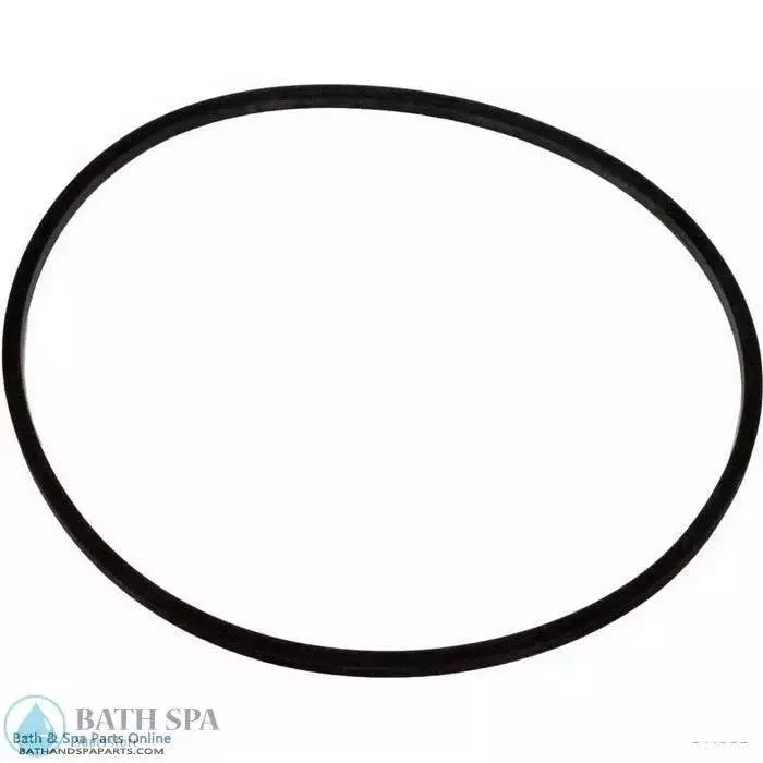 Jacuzzi DV4 Valve Body Square Ring (47-0248-56-R)