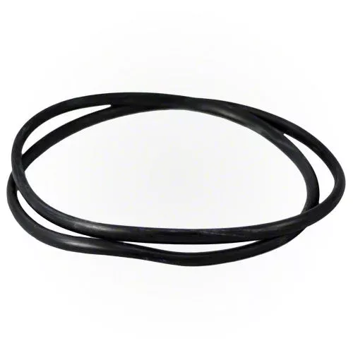 Jandy Filter Tank O-ring R0357800
