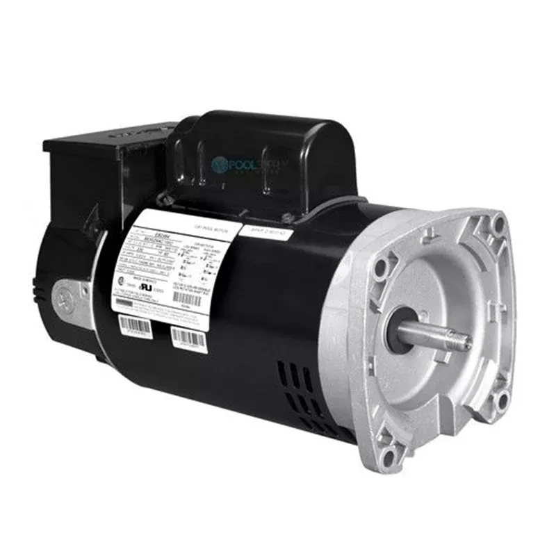Nidec ASB2975T Threaded Motor With Timer