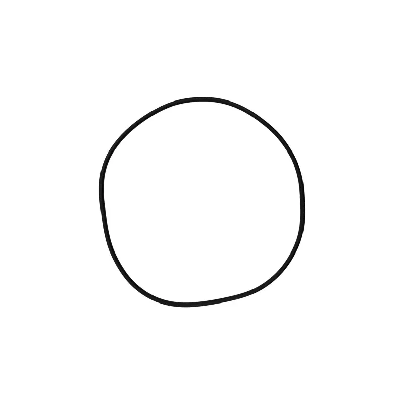 O-527-Bagged Gasket – Aladdin
