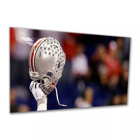 Ohio State 48'' Glass Wall Art Helmet