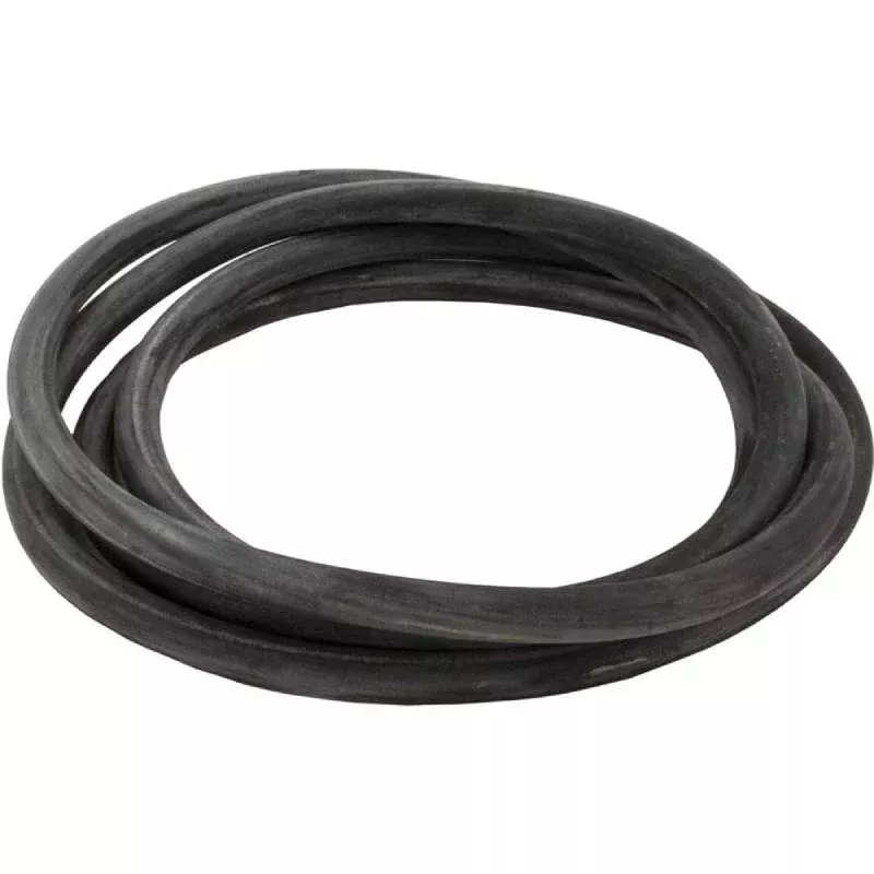 Pentair 24751-0005 HRPB/DEP Series O-Ring