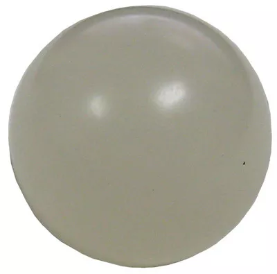 Pentair Check Ball | R172435