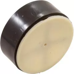 Pentair Check Valve Kit, 51516100