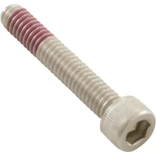 Pentair Diffuser Screw | 353323