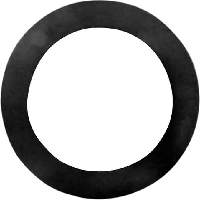 Pentair Faceplate Cork Gasket For Wall Fitting || 552496