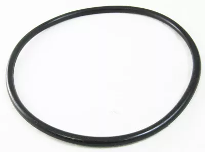 Pentair Lid Oring | 25200-0011S