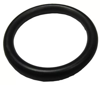 Pentair Oring, Before 10-04 | 51005000