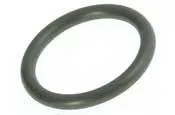 Pentair Oring | EF07
