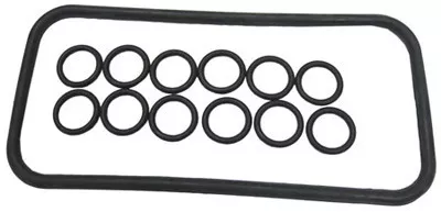 Pentair Oring Kit Manifold/Tube/Coil | 77707-0120