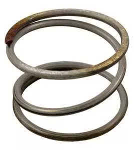 Pentair Quad DE Filter, Spring, Compression (Included in 170026) (178616)
