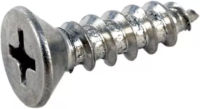 Pentair Screw #10×3/4 SS PH FT | R172612