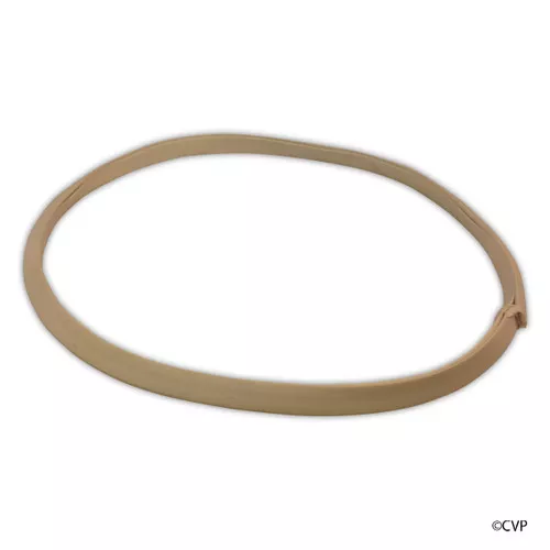 Pentair Vac-Mate Gasket, Large, Fits R36009 Basket | R36002