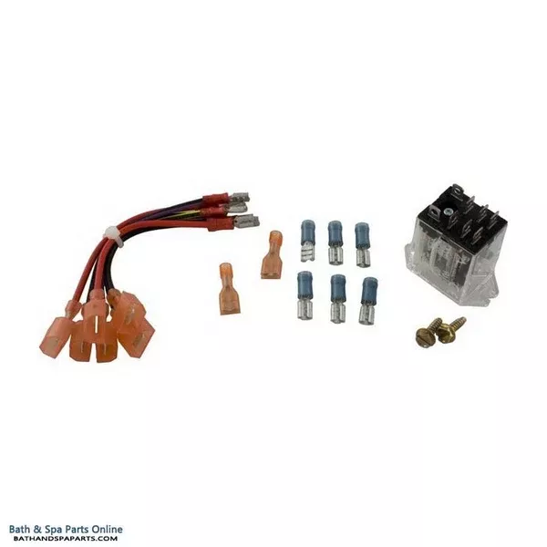 Raypak 207A/D-2/R185A/R185B DPDT Relay [24VAC] (008784F)