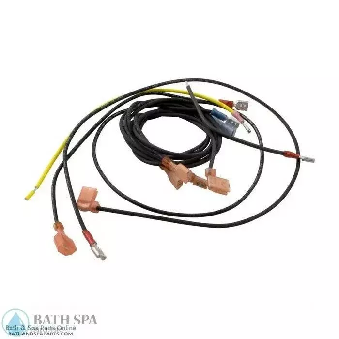 Raypak 55A [IID] Wire Harness (004011F)