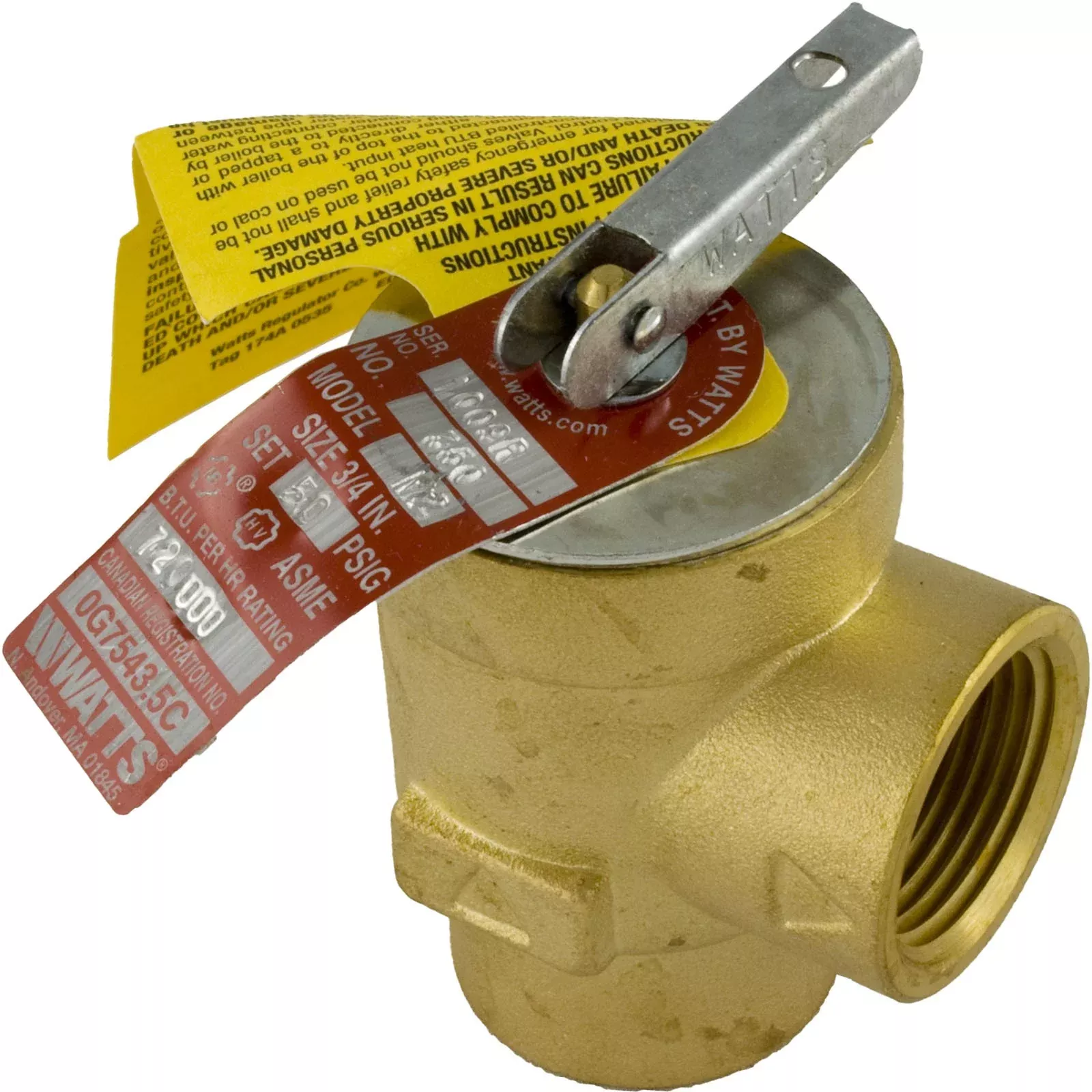 Relief Valve Pentair Minimax Plus/PowerMax 3/4" 072138