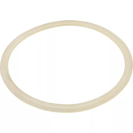 Skimmer Body Float Valve Gasket- 25140-000-040