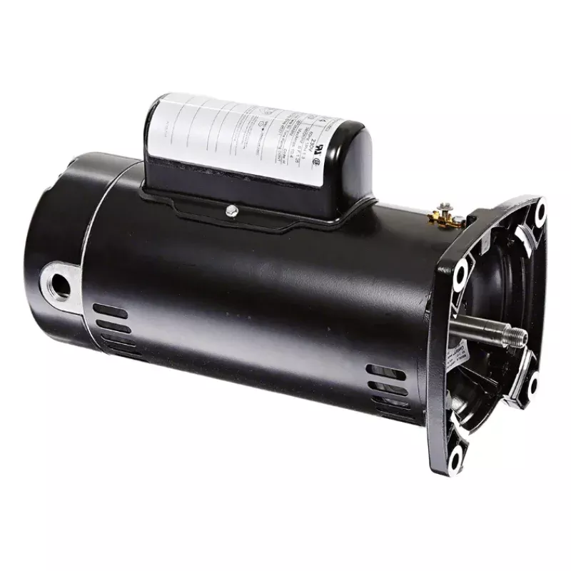 Sta-Rite 1 HP Motor – AE100ELL