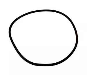 Sta-Rite Dyna-Pro Pump Seal Plate Cord Ring (U9-373) Overstock+